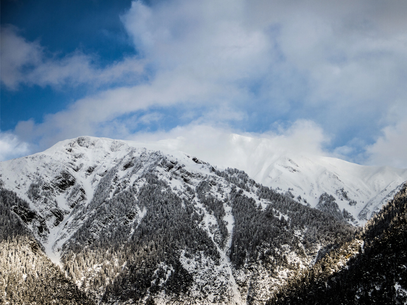 Snow & Tree Lined Mountains